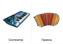 ��������� �����������: ����������, �������