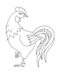 �����. ���������