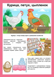 Домашние птицы: курица, петух, цыпленок