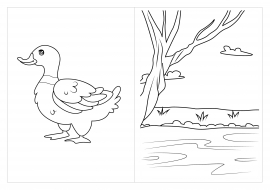 ���� ����� � �����. �������� ��� �����