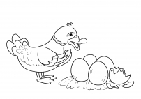 Утка считает яйца