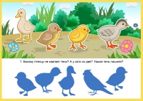 Тема: Домашние птицы Цель урока: