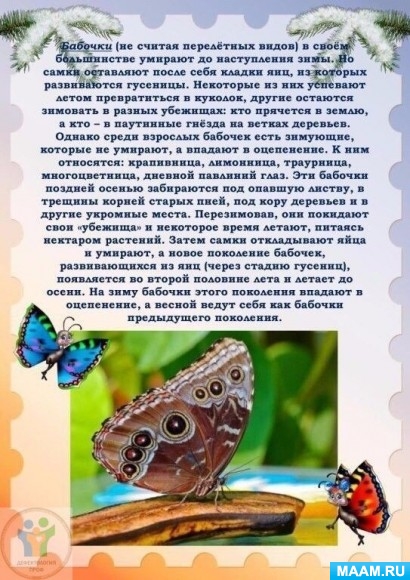 dedbb09f2c73a993328c31eacc74013b.jpg