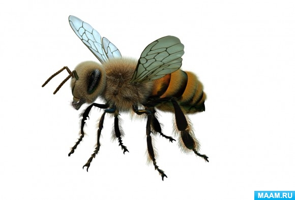 e621eb0d90df687f1e28f179ce7d9d6b.jpg