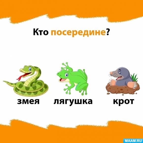 f00f1116606a1733142477d32.jpg