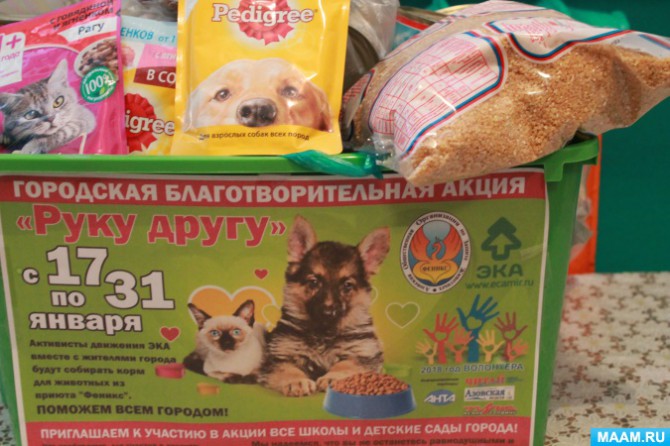 article14800.jpg