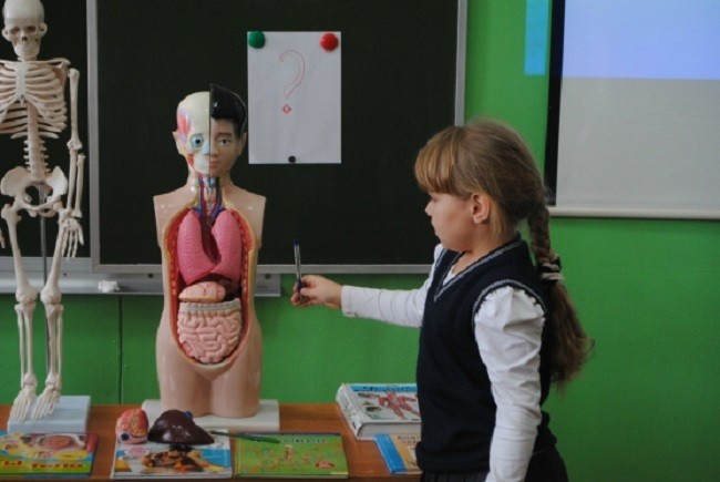 Польза тренажера бегущая по волнам