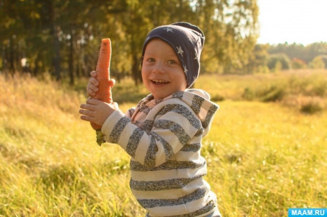 4 апреля. Международный день моркови. Воспитателям детских садов ...