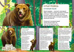 13 �������. ���� ������� � ������. ���������� � ����� �������