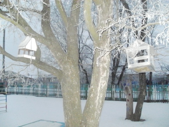 Кормушка для птиц Акция «Кормушка для пичужки» Кормушка для птиц