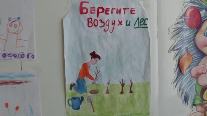 Берегите лес Конкурс детского рисунка Берегите лес