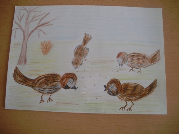 День воробья в старшей группе. Рисование стайка Воробьев подготовительная группа. Рисование птицы в старшей группе. Рисование воробья в подготовительной группе. Рисование птицы в средней группе.
