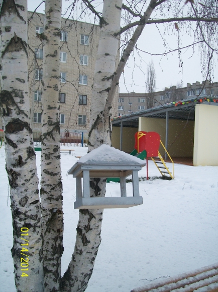 Кормушка для птичек!!! Конкурс детских поделок. Январь 2014. Дошкольники Кормушка для птичек!!!