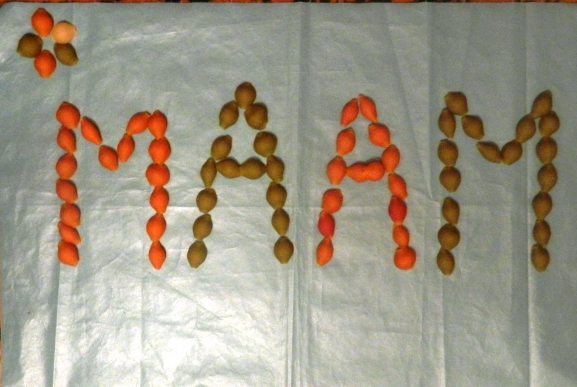 Маам из Макарон -"Ракушек" Международный творческий конкурс «Креативный Маам» Маам из Макарон -"Ракушек"