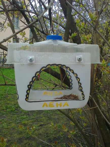 Чтобы птицы не болели и весной нам песни пели. Акция «Кормушка для пичужки» Чтобы птицы не болели и весной нам песни пели.