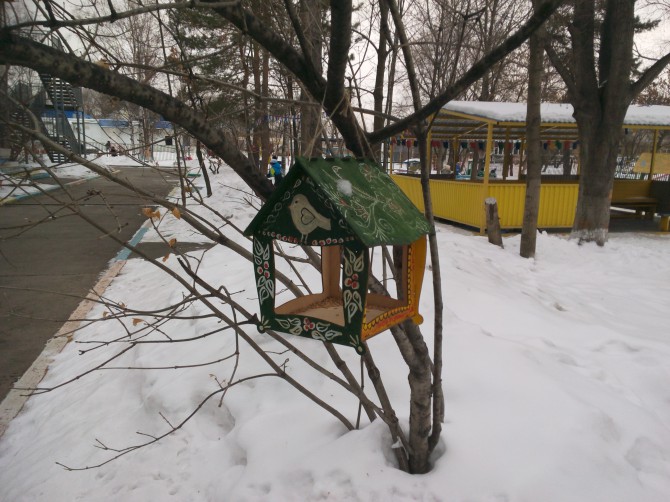 НАСТИНА КОРМУШКА Акция «Кормушка для пичужки» НАСТИНА КОРМУШКА