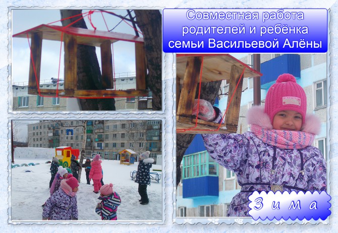 Птицам Сахалина Акция «Кормушка для пичужки» Птицам Сахалина