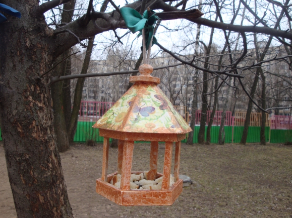 Кормушка для пичужки Акция «Кормушка для пичужки» Кормушка для пичужки