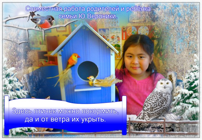 Птицам Сахалина Акция «Кормушка для пичужки» Птицам Сахалина
