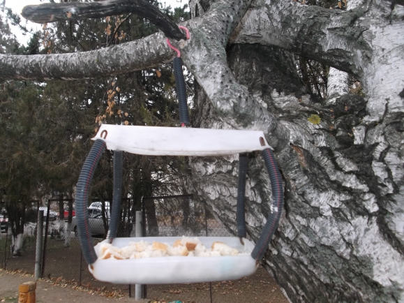 кормушка Акция «Кормушка для пичужки» кормушка