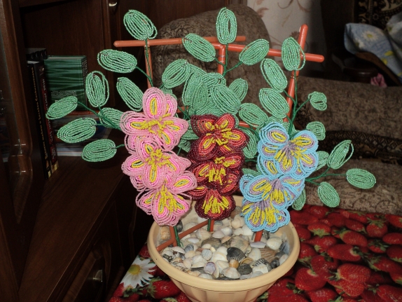 DSC00437.JPG Конкурс детских поделок. Сентябрь 2013 DSC00437.JPG