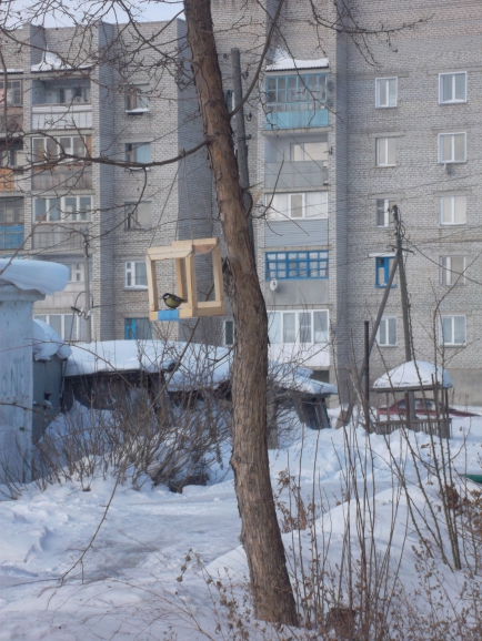 Домик для синички Акция «Кормушка для пичужки» Домик для синички