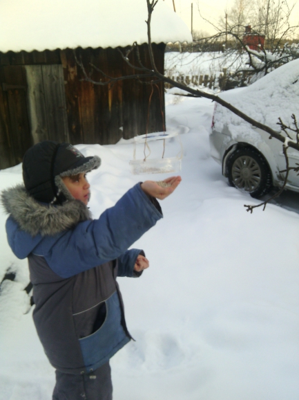 Холодно, голодно птицам зимой Акция «Кормушка для пичужки» Холодно, голодно птицам зимой