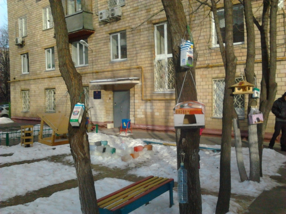 Кормушки для птиц Акция «Кормушка для пичужки» Кормушки для птиц