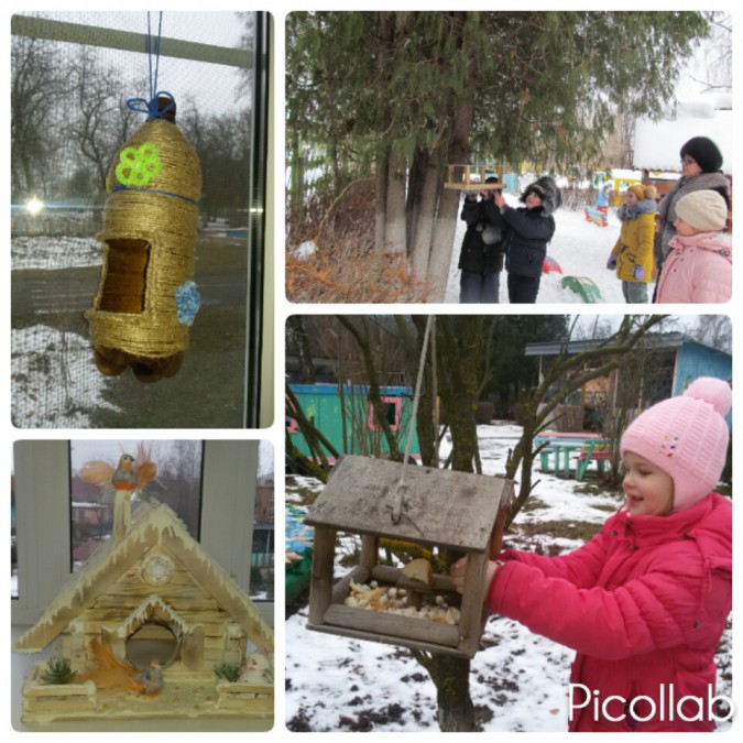 Кормушка для пичужки Акция «Кормушка для пичужки» Кормушка для пичужки