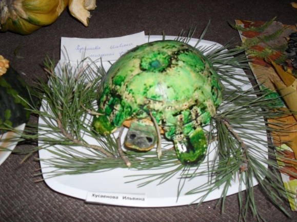 Черепаха Конкурс детских поделок. Ноябрь 2013 Черепаха