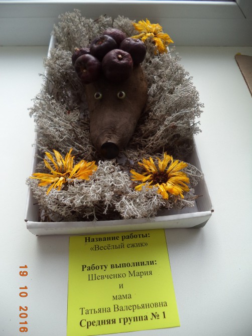 Международный конкурс еж. Конкурс игра еж. Конкурс про ежика. Игра конкурс еж по русскому языку. Международный конкурс еж.