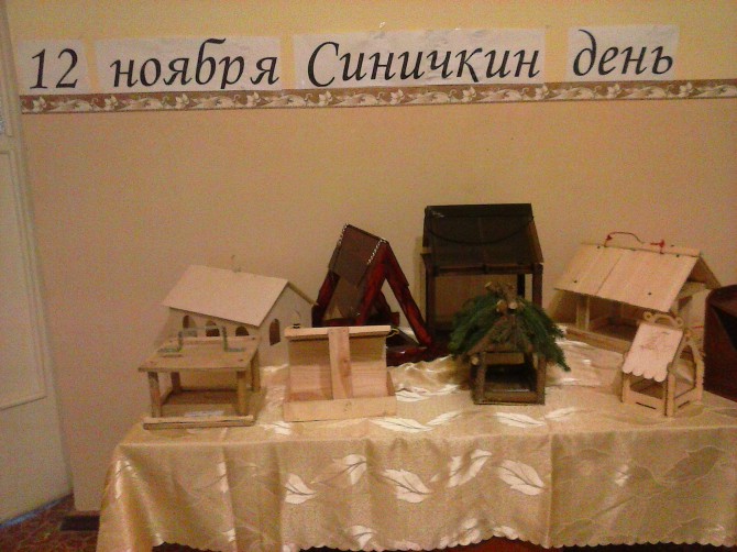 Синичкин день. Акция «Кормушка для пичужки» Синичкин день.