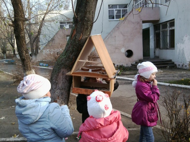 кормушка на нашем участке Акция «Кормушка для пичужки» кормушка на нашем участке
