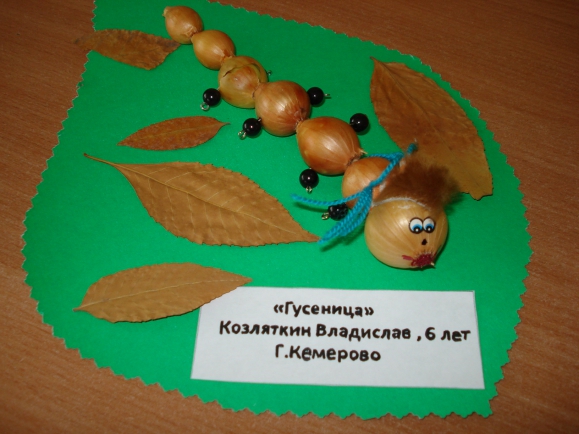 "Гусеница" Конкурс «Осенние фантазии». Сентябрь 2014 "Гусеница"