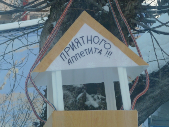 Птички, птички прилетайте-крошки хлеба доедайте! Акция «Кормушка для пичужки» Птички, птички прилетайте-крошки хлеба доедайте!