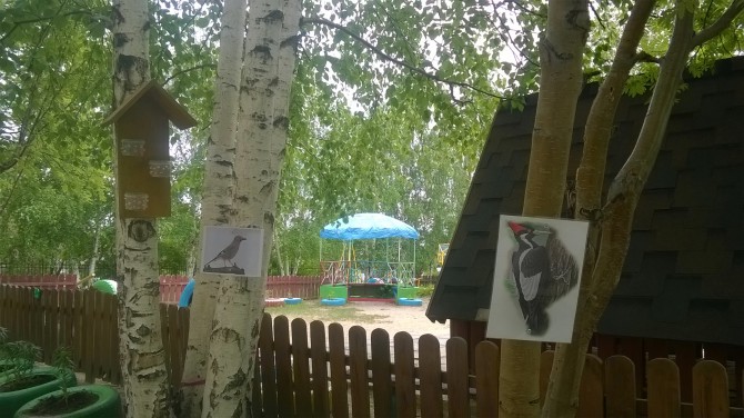 забота о птицах Акция «Кормушка для пичужки» забота о птицах