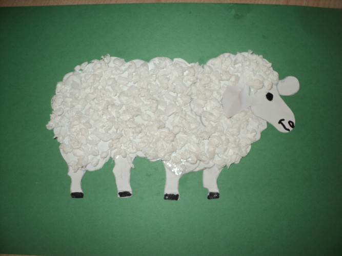 Белая овечка