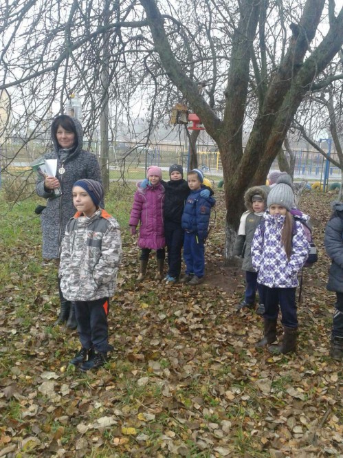 Ежедневно заботимся о пернатых друзьях. Акция «Кормушка для пичужки» Ежедневно заботимся о пернатых друзьях.