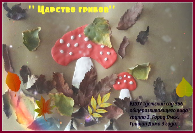 " Царство Грибов" Конкурс детских поделок " Царство Грибов"
