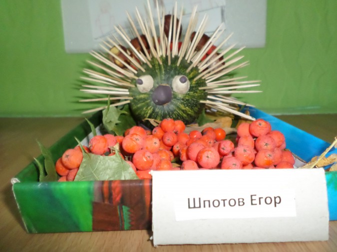 "Колючий недотрога" Конкурс детского творчества «Осенние фантазии» "Колючий недотрога"