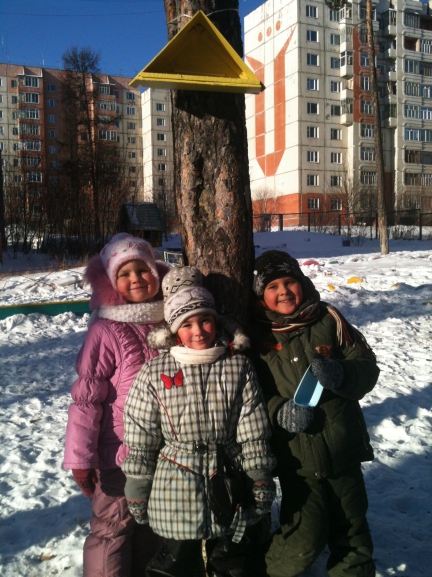 В зимние деньки птицам домики нужны! Акция «Кормушка для пичужки» В зимние деньки птицам домики нужны!