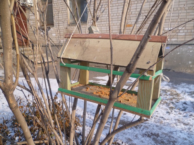 Кормушка Акция «Кормушка для пичужки» Кормушка
