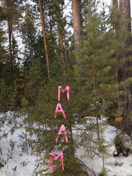 "МААМ! С Новым годом!" Международный творческий конкурс «Креативный Маам» "МААМ! С Новым годом!"