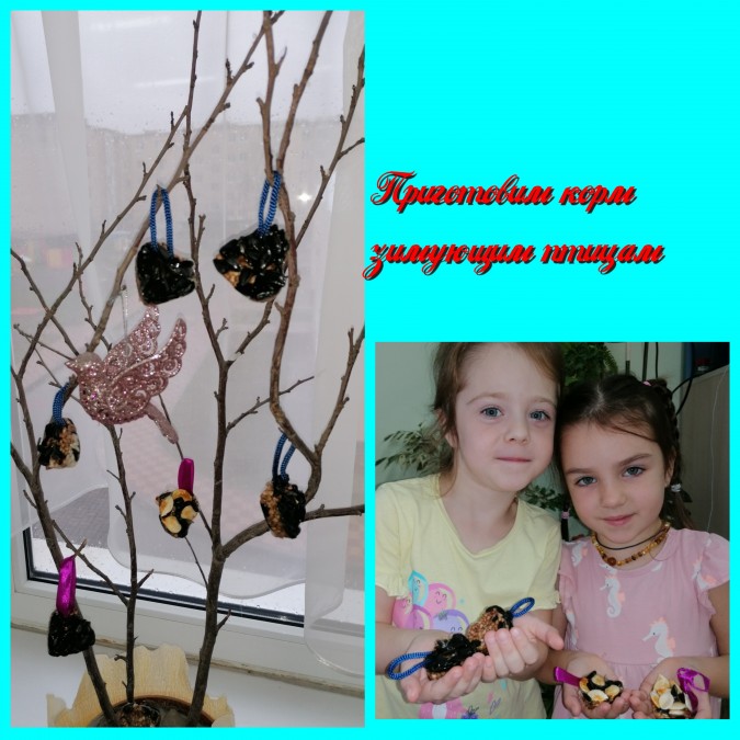 «Покормите зимующих птиц» Акция «Кормушка для пичужки» «Покормите зимующих птиц»