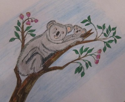 Коалы Конкурс детского рисунка. Октябрь 2014. Дошкольники Коалы