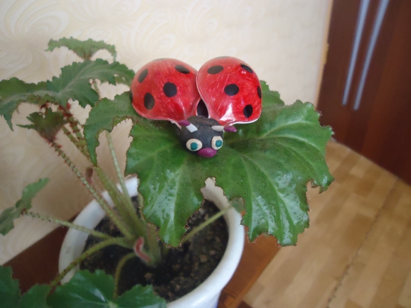 Божья коровка Конкурс детских поделок. Февраль 2014. Дошкольники Божья коровка