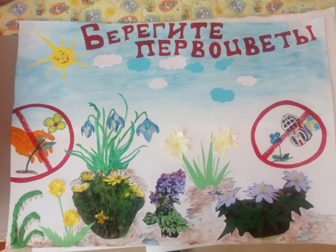 Берегите первоцветы рисунки на конкурс