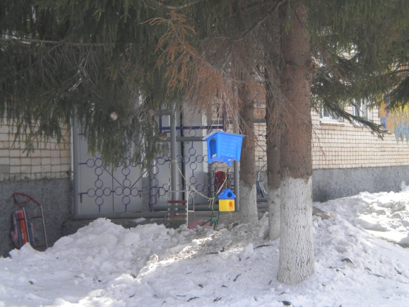 кормушка Акция «Кормушка для пичужки» кормушка