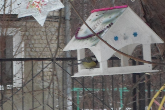 Новогодняя кормушка Акция «Кормушка для пичужки» Новогодняя кормушка