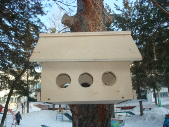Кормушка Акция «Кормушка для пичужки» Кормушка